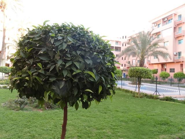 Apartment Twins 12 Marakeş Dış mekan fotoğraf